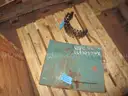 Allis Chalmers 42x65 Superior Gyratory Crusher Spares.