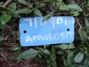 Allis Chalmers 42x65 Superior Gyratory Crusher Spares.