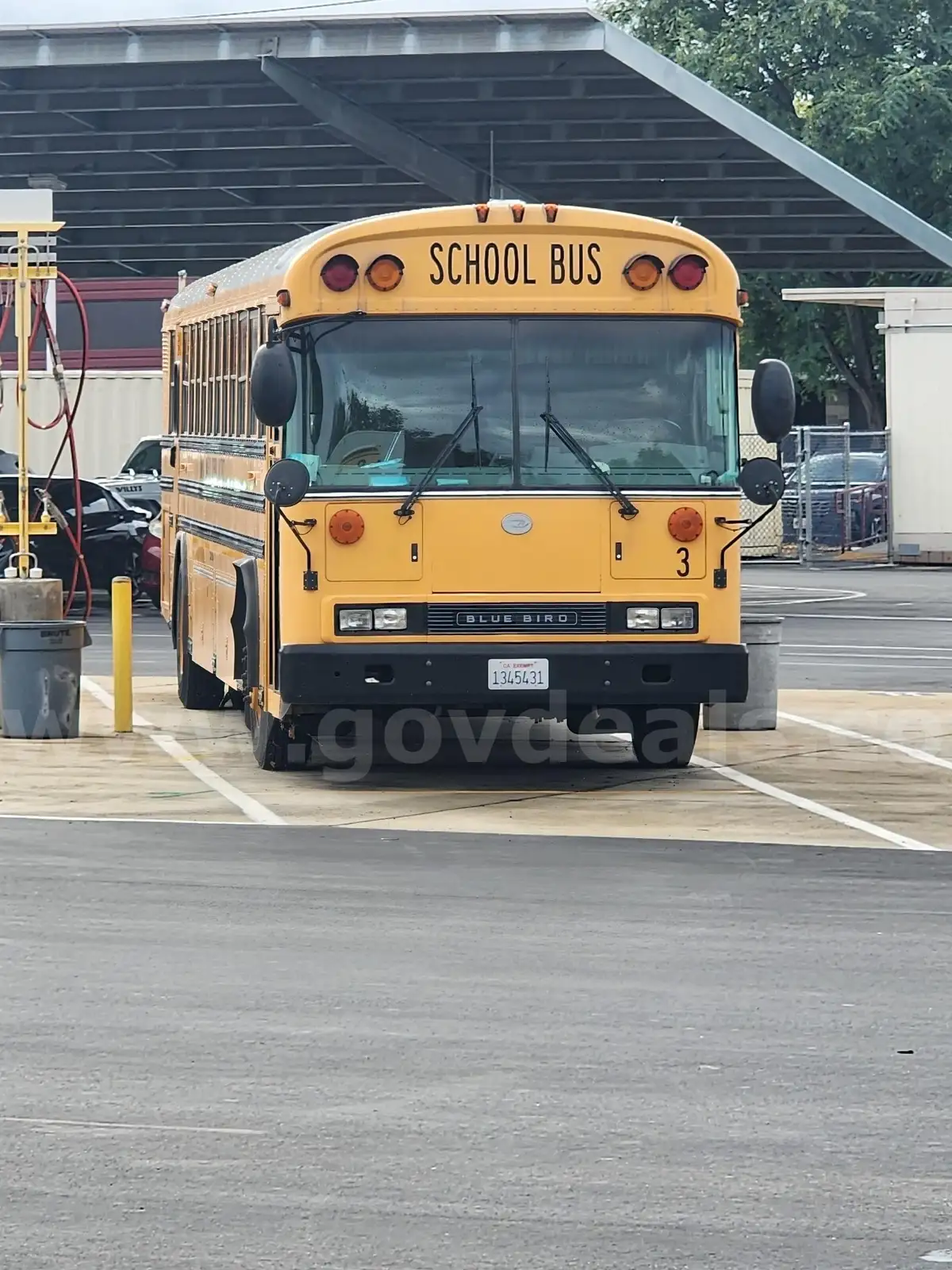 2011 Blue Bird School/Transit Bus | AllSurplus
