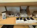 A Package of New iPhone Covers, Cases, Wall Charge Adapters, USB Cables