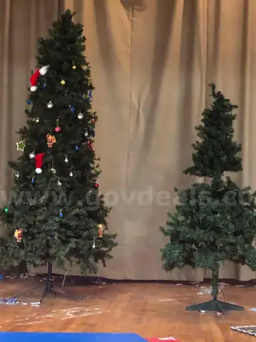 Two Christmas Trees