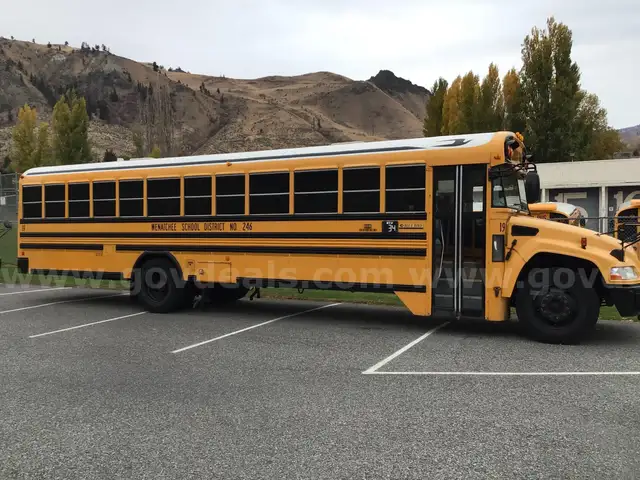 2010 Bluebird school bus # 19
