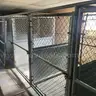 Dog Kennels
