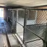 Dog Kennels