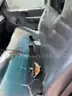 2002 Ford F-150
