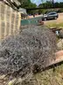 Vivian Recyclable Scrap Metal