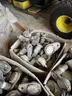 300 + Badger Water Meters with Orion Endpoint