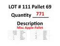 Lot 111 - Pallet 69 - Misc Apple Pallet - 771ea