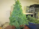 1 LOT OF CHRISTMAS DECORATIONS 10 PEICES