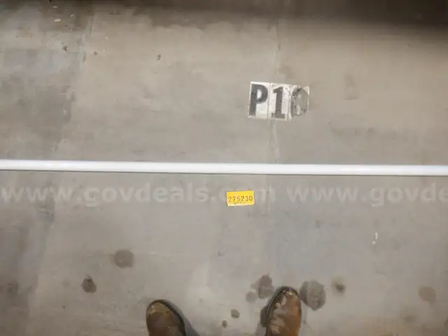 LAMP, FLUORESCENT:  qty 74