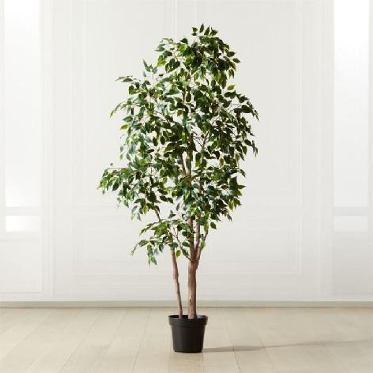 Banyan Leaf Potted Tree Threshold designed with Studio McGee