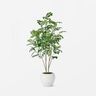 Moringa Artificial Tree Green - Threshold™ designed with Studio McGee ...