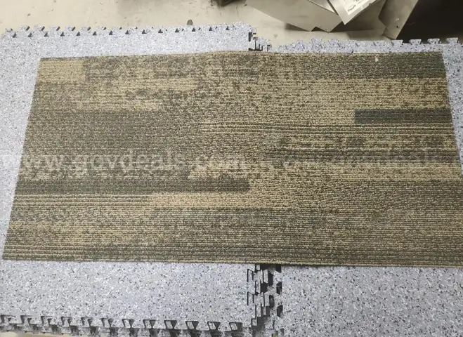 Estimated over 3000 sq. ft Carpet