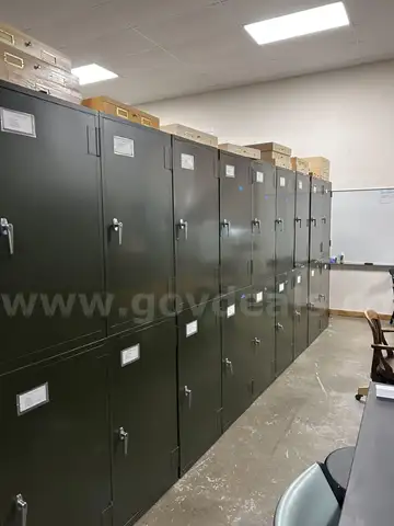 Lot of 10 Entomology Cabinets