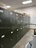 Lot of 10 Entomology Cabinets