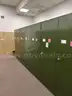 Lot of 5 Tall Entomology Cabinets