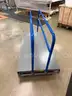 Two Carts