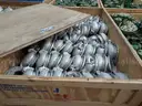Meters, Transformers, Motors, Arrestors, Thief Hatch, Heaters, Valves &#x26; Actuators, 889