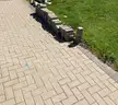 2 Skids of Paver Stones