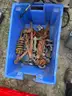 Lot of Chains and Shackles