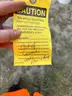 Briggs &#x26; Stratton Pressure Washer