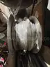 Lot of Miscellaneous Wire and Cable