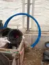 Lot of 2&#x201D; Poly Tube