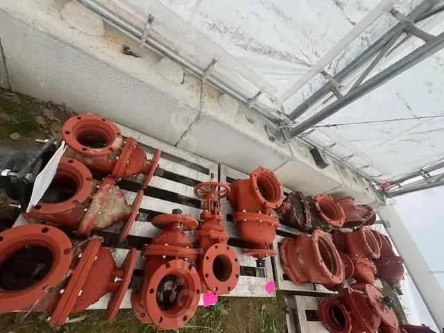 Lot of Gate Valves and Straight Flanges