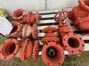 Lot of Gate Valves and Straight Flanges
