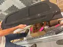 Ford Car Trunk Cover
