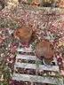 Lot of Crane Attachments and Counter Weight