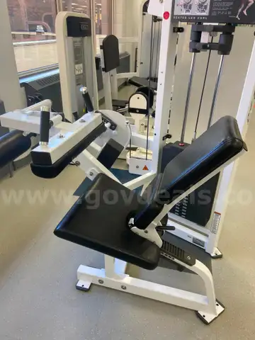 Seated Leg Curl