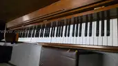 Young Chang U-116S Upright Piano - Bench Included