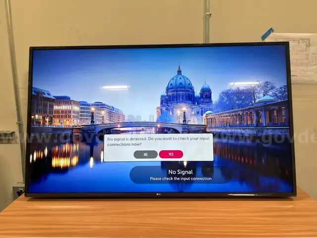4. 60&#x22; LG TV, Model #60UJ6300-UA