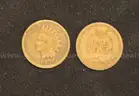 74 U.S. Indian Head Pennies