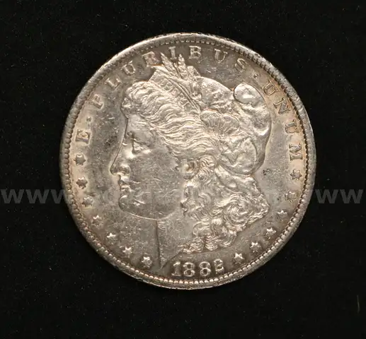 Graded U.S. 1882 Carson City Silver Morgan Dollar Coin