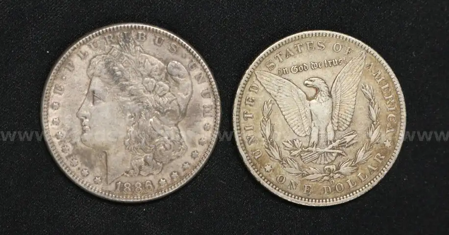 10 Silver U.S. Morgan Dollar Coins