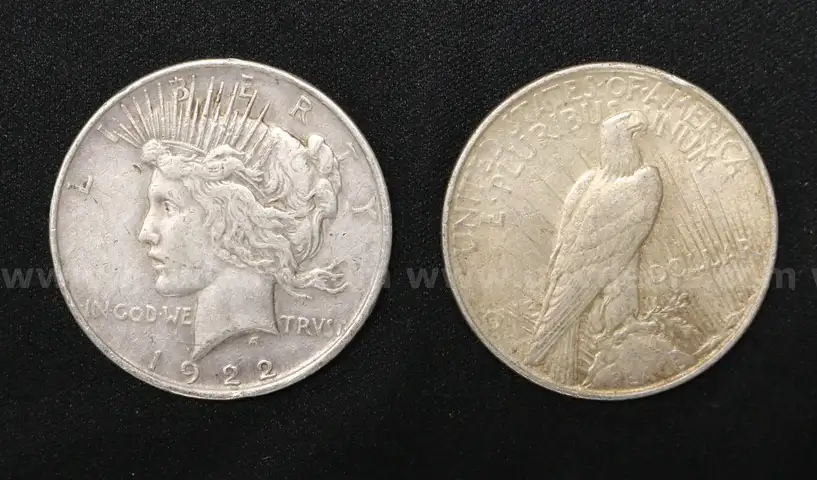 50 U.S. Silver Peace Dollar Coins