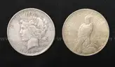 50 U.S. Silver Peace Dollar Coins