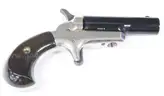 2 Assorted Firearm Lot
