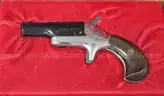 2 Assorted Firearm Lot