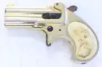 2 Assorted Firearm Lot