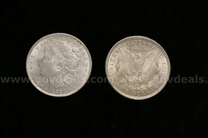 15 Assorted U.S. Silver Morgan Dollar Coins