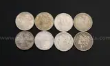 8 Silver U.S. Morgan Dollar Coins