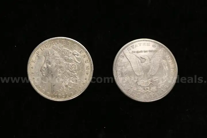 8 Silver U.S. Morgan Dollar Coins