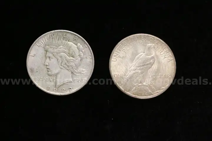 24 Assorted U.S. Silver Peace Dollar Coins