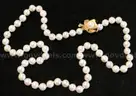 Pearl Necklace with 14k Yellow Gold Clasp