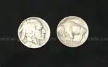 159 U.S. Buffalo Nickels