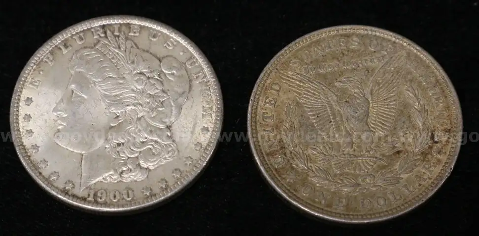 13 Assorted U.S. Silver Morgan Dollars