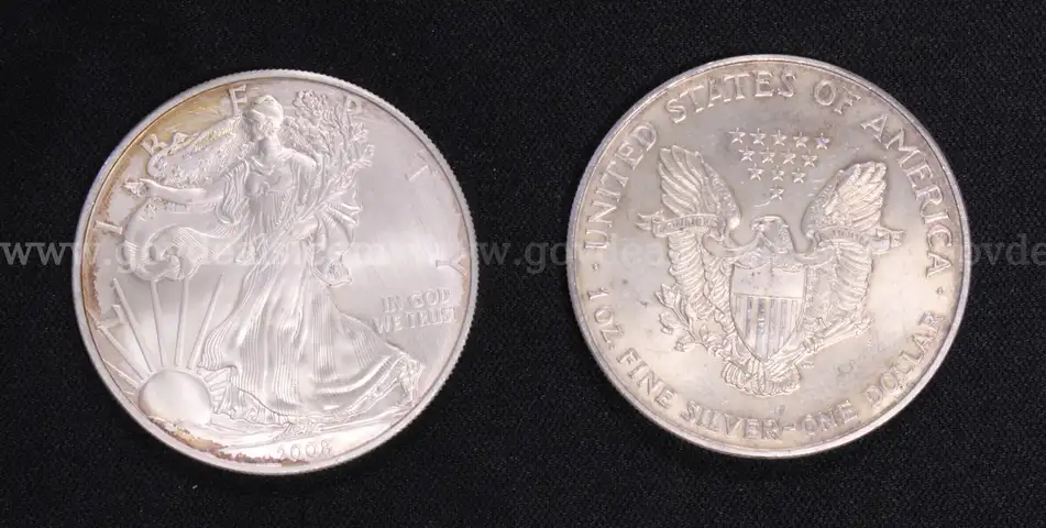 10 Silver U.S. American Eagle Coins